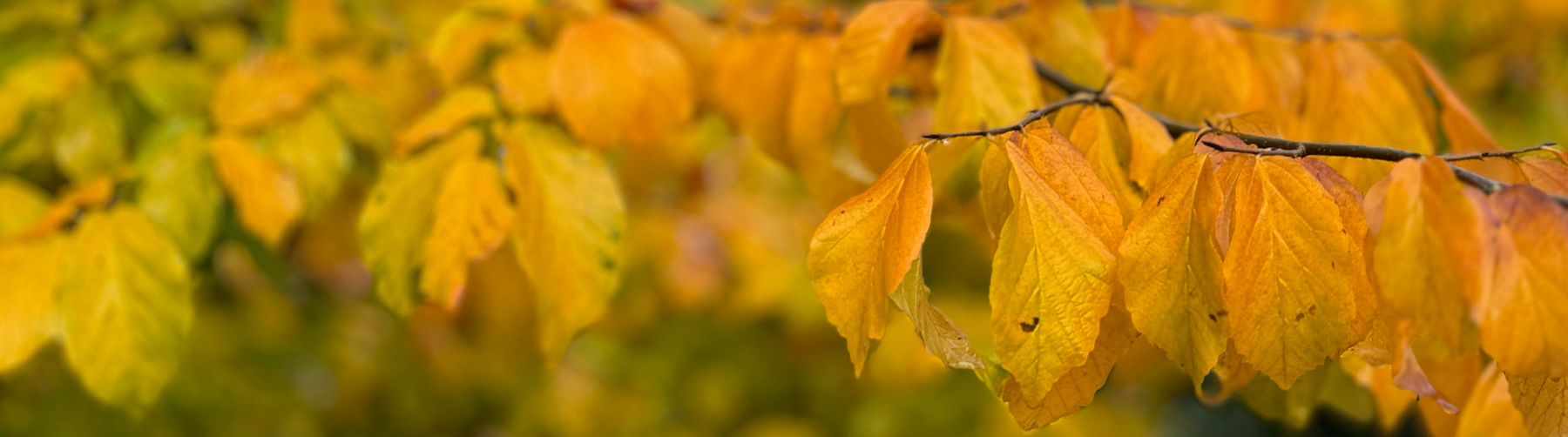 Sommer bei Pur Natur Die Gartenschule in Uelzen